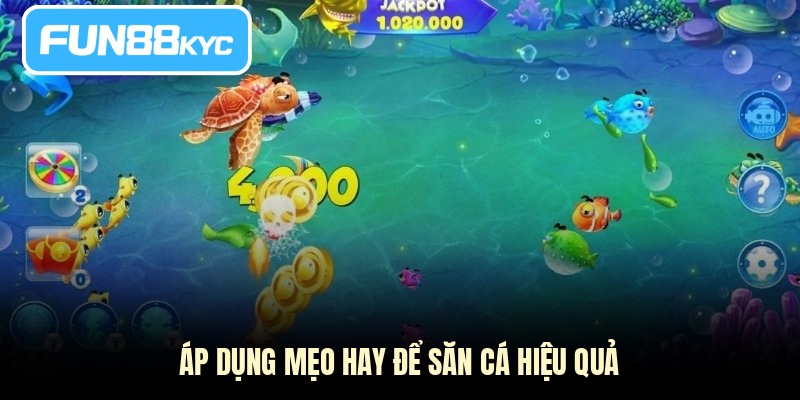 Áp dụng mẹo hay để săn cá hiệu quả