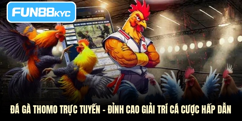 Đá gà Thomo trực tuyến